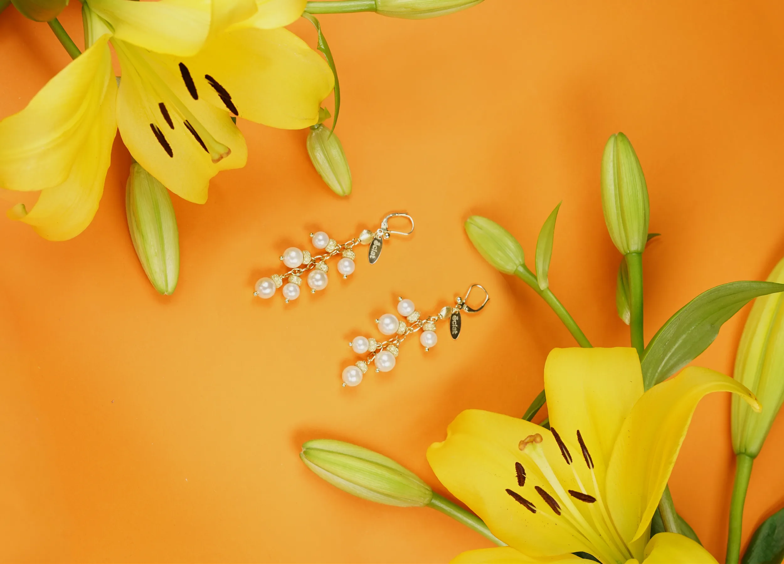 eclat Joaillerie ist bald wieder online